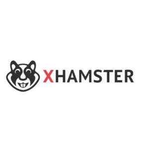 xhamstervideodownloader apk for chromebook hp